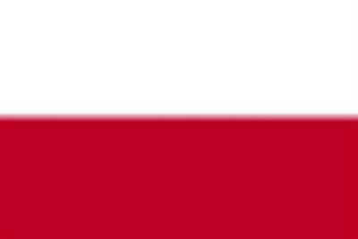 Polen Schleifringmotoren Ankauf